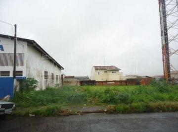 Terreno · 300m² · Terreno para venda em Parque Santa Felícia Jardim de 300.00m²