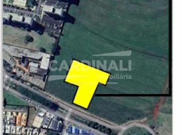 Terreno · 9802m² · Lote / Terreno para venda em Quinta Da Primavera de 9802.00m²