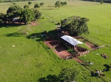 Rural · 3820000m² · 1 Quarto · Fazenda / Sítio para venda em Centro de 3820000.00m² com 1 Quarto e 1 Suite