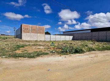 Terreno · 250m² · Terreno para venda em Felícia de 250.00m²