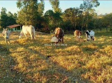 Rural en Venda de 3 quartos · Fazenda / Sítio para venda em Recanto Avecuia de 151.56m² com 3 Quartos