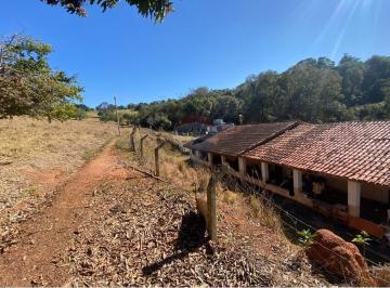 Terreno · 300m² · 5 Quartos · 6 Vagas · Chácara para venda em Campo Novo de 300.00m² com 5 Quartos, 1 Suite e 6 Garagens