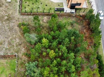 356159.jpg · Terreno - Bairro Dutra