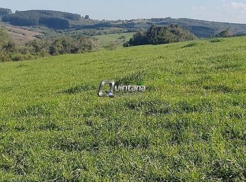 Rural · 1600000m² · Fazenda 160 Hectares em Piratini, R$ 5.600.000, FÁCIL ACESSO