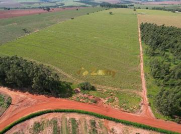 Imagem 1 · Sítio para venda em Alto Paraná