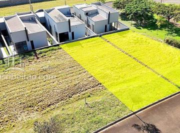 Terreno · 261m² · Terreno Santa Martha à venda #imoveisribeirao.com