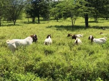Áreas à venda, AREIA BRANCA, Aracaju, SE · Áreas à venda, AREIA BRANCA, Aracaju, SE