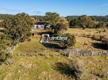 Rural · 900000m² · Fazenda 90 Hectares em Santana da Boa Vista RS Dupla Aptidão