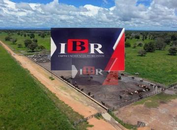 259925e8cd5422c081fa27638339622740da4820 · Fazenda em Barra do Garça - MT