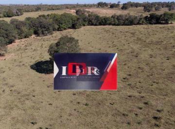 d546dc7ef8b057d33ab0597d412eb5d4dffcf0ee · Fazenda em Camapuã - MS
