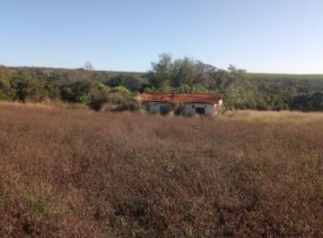 Rural , Artur Nogueira · Sítio á Venda 36.000 m 2 em Artur Nogueira por R$ 450.000