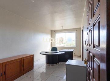 img83962371 · Conjunto/Sala para Locação/Aluguel - 33.51m², 0 dormitórios, Cavalhada