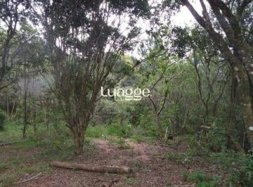 img83812789 · Propriedade para locação em Belém Velho – 46.960m²