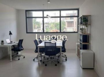 img316552143 · Conjunto/Sala para Locação/Aluguel - 37.9m², Praia de Belas