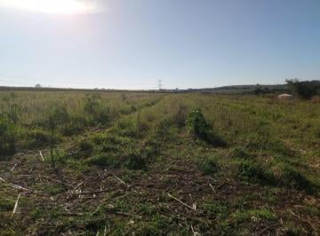 Rural , Artur Nogueira · Raridade no Mercado: Sítio á Venda, 20.000 m 2 na Região Mais Desejada da Cidade
