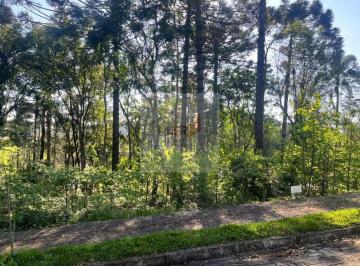 Foto 01 · Terreno à Venda na Linha Imperial em Nova Petrópolis | 378m² com Muita Natureza e Segurança
