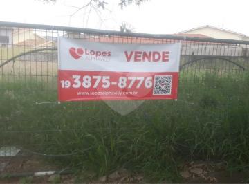 Imagem Principal · EXCELENTE LOTE