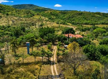 ChatGPT Image 16 de ago · Casa à venda - No Cocalzinho de Goias