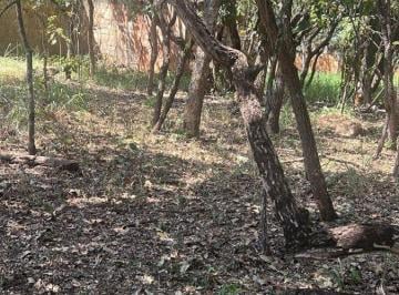 Terreno , Jardim Botânico · LOTE À VENDA – CONDOMÍNIO QUINTAS DA ALVORADA
