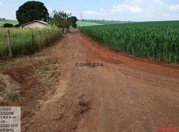 10711_iUf76iRh5uzkum37_107116a10c04351e7d.jpg · Chácara | Ribeirão Três Bocas | Londrina