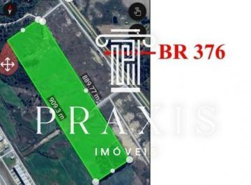 Terreno · ÁREA à venda com 20ha em Palmeira - PR, Colônia Wi