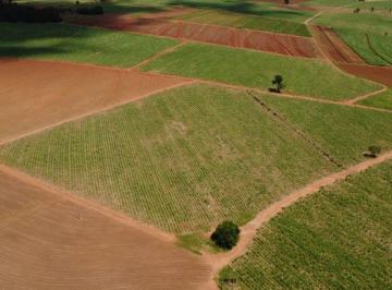 Rural , Artur Nogueira · Sítio á Venda , 24.200 m2 ao lado do asfalto em ARTUR NOGUEIRA por R$ 450.000
