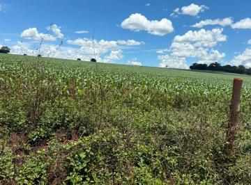 Rural de 1 quarto, Goianápolis · vendo fazenda de 22 alqueires em goianapolis goias