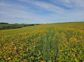 Rural · 2855600m² · 3 Quartos · à Venda - Cocalzinho de Goiás/GO