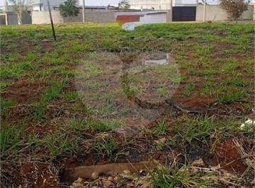 Imagem Principal · Terreno com 275 m2 , á venda no Terras Di Treviso