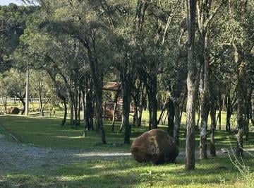 Rural · 50000m² · 2 Quartos · Chácara à venda em Urubici/SC
