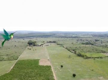 Rural · 74m² · 6 Quartos · Fazenda / Sítio para venda em Zona Rural de 74.00m² com 6 Quartos
