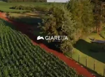 Rural · 20500m² · Excelente chácara disponível para venda, ZONA RURAL, TOLEDO - PR