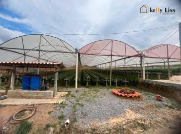 761f52dab0a96a748c52ccf5c213bd32127d92ee · Chácara em Munhoz 12.360 m² com 02 lagos, pomar, plantação de morango confira!