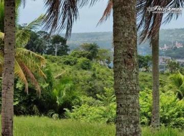 Imagem 1 · Sítio para venda em Jabacó, Igarassu