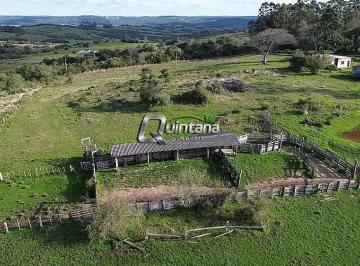 Imagem 1 · Fazenda para venda em Centro, Piratini