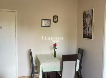 Apartamento · 36m² · 1 Quarto · Apartamento no bairro São Geraldo de 1 dormitório