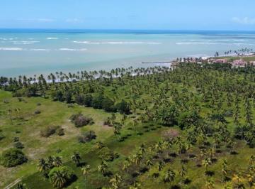 barra-de-santo-antonio-terrenos-area-barra-de-santo-antonio-28-07-2026_17-13-26-6a690d66cf701.webp · Lote / Terreno à venda em Barra De Santo Antônio, no bairro Barra De Santo Antônio