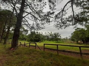 Rural · 120217m² · Sítio para Venda - 120217m², 0 dormitórios, Campo Novo