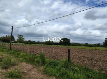 Rural · 1000ha · Sítio na Avenida Juca Batista.