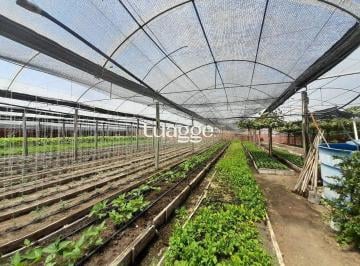 Terreno · 6629m² · SÍTIO DENTRO DE PORTO ALEGRE 6.629,10 metros quadrados de área no bairro Campo N