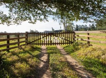 Rural · 220ha · 3 Quartos · 3 Vagas · Rurais à venda - em Viamão