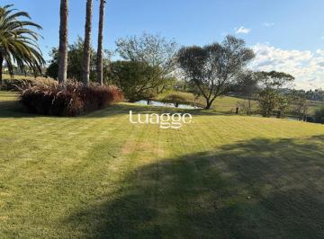 Terreno · 1177m² · Terreno à venda - em Terraville