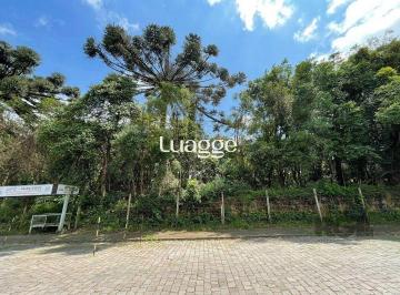Terreno · 13420m² · Terreno à venda - em Marechal Floriano