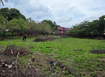 Terreno , Santo Amaro · Área de 2.578 m² no Centro de Santo Amaro/MA — Excelente Oportunidade para Inves