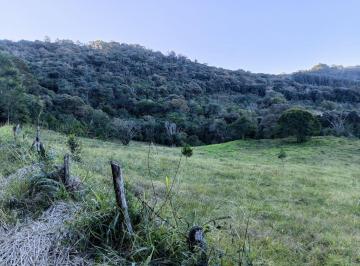 Rural , Taquara · Proximidade com o asfalto