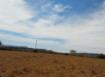 Rural · 400m² · 1 Quarto · Venda de fazenda em Jaraguá: 232 hectares (48 alqueires), dupla aptidão
