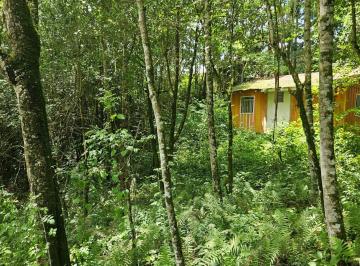 Terreno · 11000m² · 1 Quarto · Chácara para venda em São Miguel de 11000.00m² com 1 Quarto