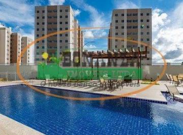 Apartamento · 47m² · 2 Quartos · Apartamento para aluguel - em Palmeiras