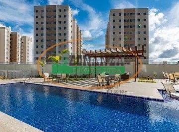 Apartamento · 47m² · 2 Quartos · Apartamento para aluguel - em Palmeiras
