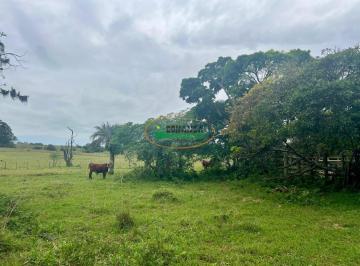 Terreno · Terreno à venda - na Zona Rural
